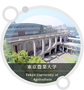 東京農業大学